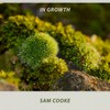 Swing Low, Sweet Chariot - Sam Cooke