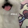宝宝肚肚全乱了 - Dsll