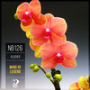 Wind of Legend (Original Mix) - Alisher&Ildar