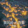 黄风岭 八百里 (曼波说书版) - 抽象哥