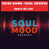 Spirit of Life (Original Mix) - Soul Groove&Criss Hawk