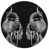 Blood & Sand (Original Mix) - Dolby D&Matt Mus