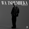 Wa Tshembeka (Live) - Cooper SA&Small S.P&Tyler ICU&Jay Sax