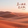 真心换来是沉默 - 影子吃掉光