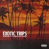 Exotic Trips (Explicit) - Rawood&BandGang Masoe