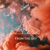 From the Sky - Ale Flowers