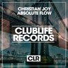 Absolute Flow (Dub Mix) - Christian Joy