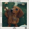 Learn How to Watch (Explicit) - Carnage&Mac Miller&MadeinTYO