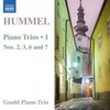 I. Allegro con moto - Gould Piano Trio