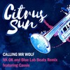 Calling Mr Wolf (NK-OK and Blue Lab Beats Remix) - Citrus Sun&Cassie Rytz