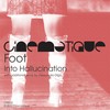 Into Hallucination (Alessandro Diga Remix) - Foot&Alessandro Diga