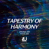 Tapestry Of Harmony - Juliano Silva