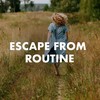 Late Bloomer - Allison Ponthier