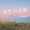 命里的遗憾 - 恰恰恰恰恰