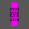 racecar - warner case