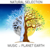 Dream Drifter - Paul Reeves&JAY PRICE