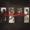 BLOODHOUND (feat. Vno400) (Explicit) - GoldTooth&Vno400