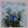 Anemone - Steve Davit