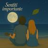 Sentiti importante - Grigio