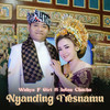 Nyanding Tresnamu - Intan Chacha&Wahyu F Giri