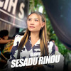 Sesadu Rindu (Live Version) - seshin