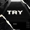 Try - USAGI