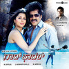 Sarigama Sangamave - Shwetha Mohan&Megha