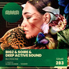 Blossom (Alvaro Hylander Remix) - Bigz&Soire&Deep Active Sound&Alvaro Hylander