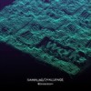 Don't Save - 日本群星&Frums