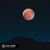 Fly Me To The Moon (Slowed) - Boostereo&Veronica Bravo&Bart Howard