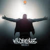 Soundstorm (Radio Edit) - Wildstylez