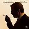 Tereza My Love - Antonio Carlos Jobim