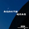 向北的你不能陪我向南 - 怪阿姨