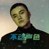 不动声色 (伴奏) - 胡棋