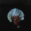 Risk It All (feat. Finesse2tymes) (Explicit) - Sonata&Finesse2tymes