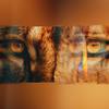 See (Explicit) - Tkget2it