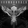 Live To Rise - Soundgarden