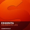 Celebrate Life (Original Mix) - Essonita
