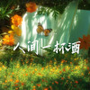 人间一杯酒 (Live合唱版) - 刘纯