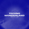 Techno Wonderland - Robbe&M-T3CK&Amero