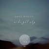 Midnight Sky - Petit Biscuit
