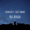 Not Afraid(feat. Zaid Tabani) - Gremlin&Zaid Tabani