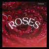 Roses - Reivax