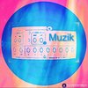 Muzik (Main Mix) - Salvatore Vitrano