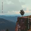 lost in the echo - Nathan Tran