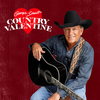 I Just Want To Dance With You - George Strait
