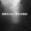 遗憾无法说 (青花说唱版) - 余丰ins