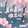 真的真的难忘记 (烟嗓版) - 刘皮特