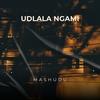 Udlala ngami (feat. Verse One) (Explicit) - Mashudu&Verse One