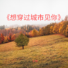 将就的爱 - 小鱼